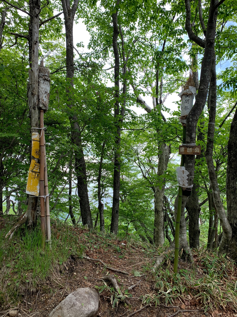 赤城山トレランの写真6