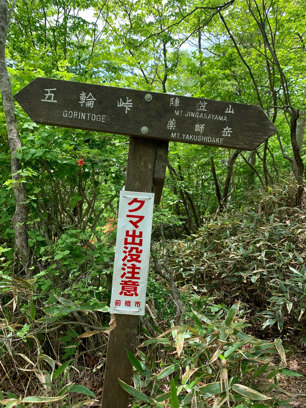 赤城山トレランの写真10