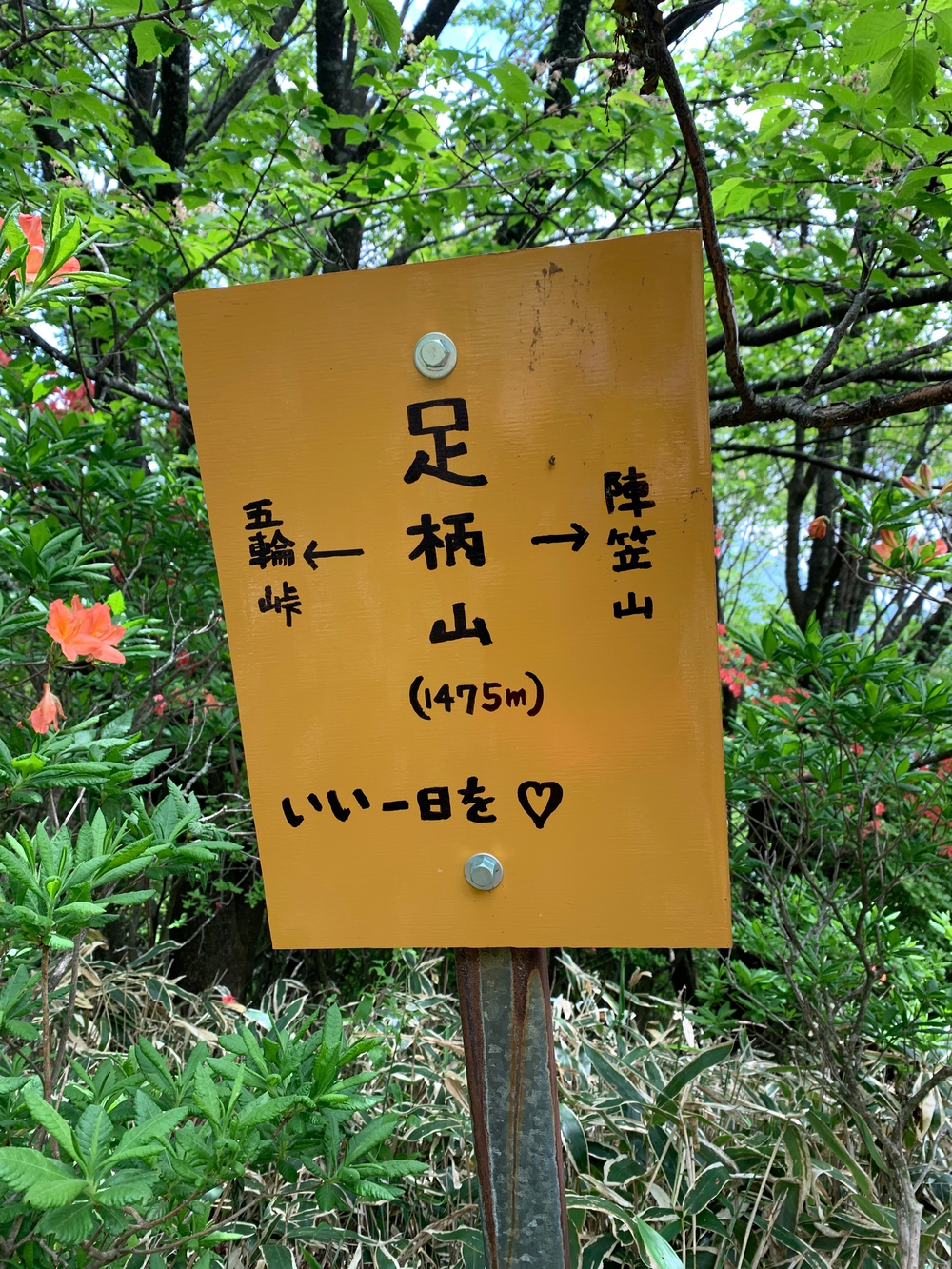 赤城山トレランの写真11