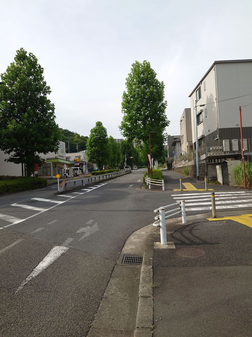 TOKYO 2020 自転車ロードレースコース 稲城～多摩の写真3