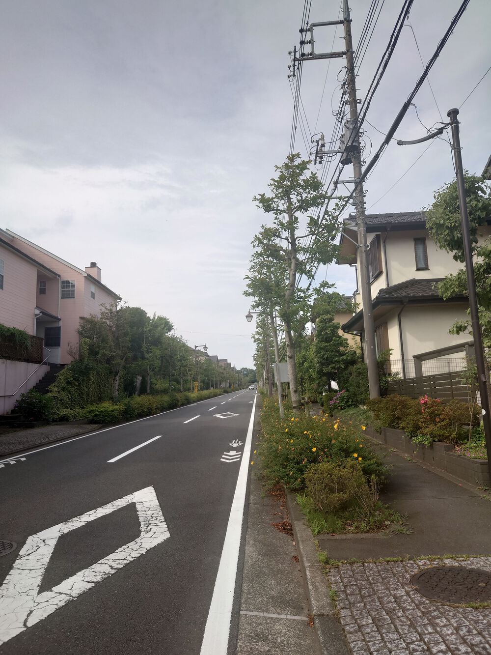TOKYO 2020 自転車ロードレースコース 稲城～多摩の写真5