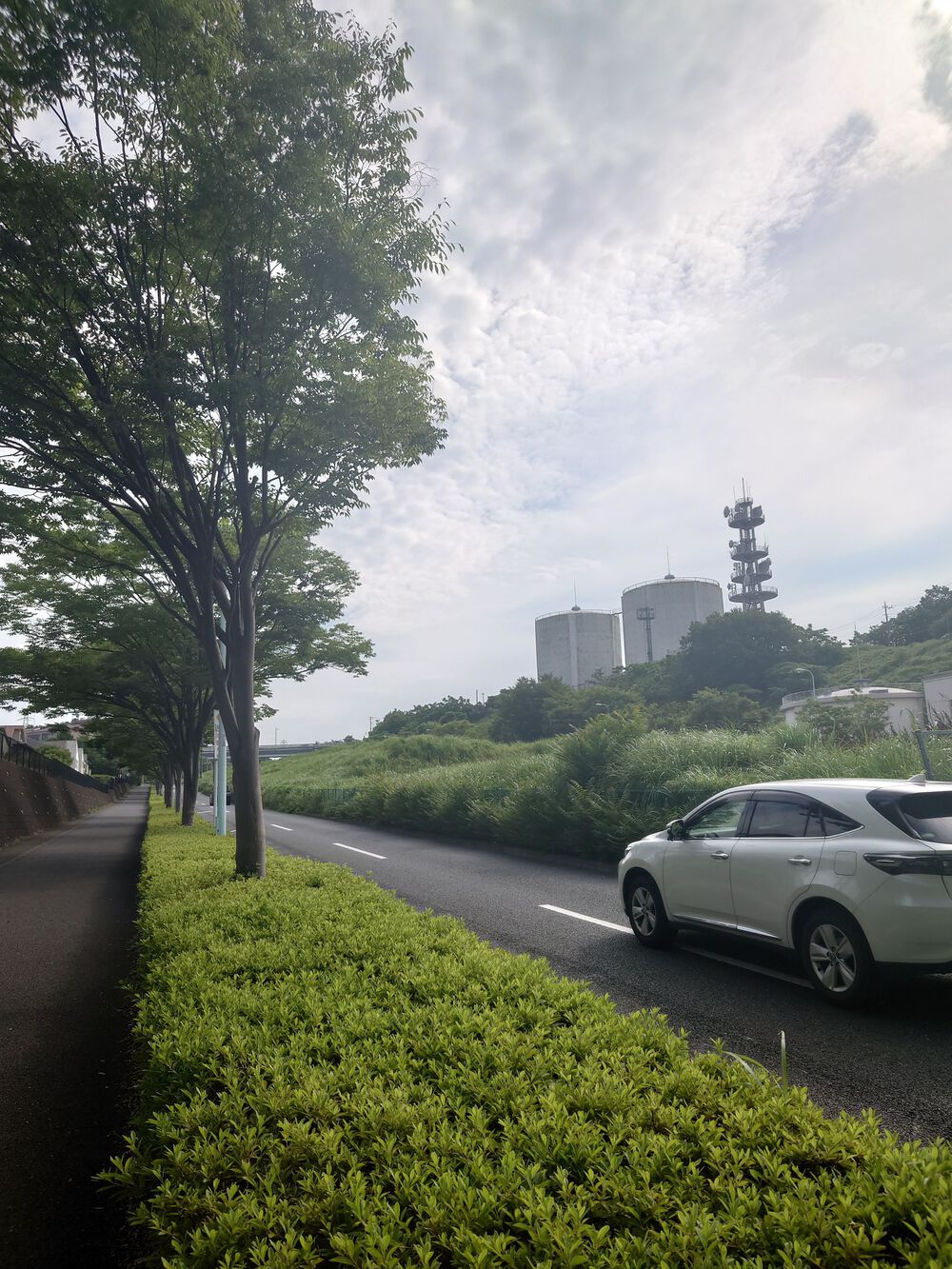 TOKYO 2020 自転車ロードレースコース 稲城～多摩の写真10