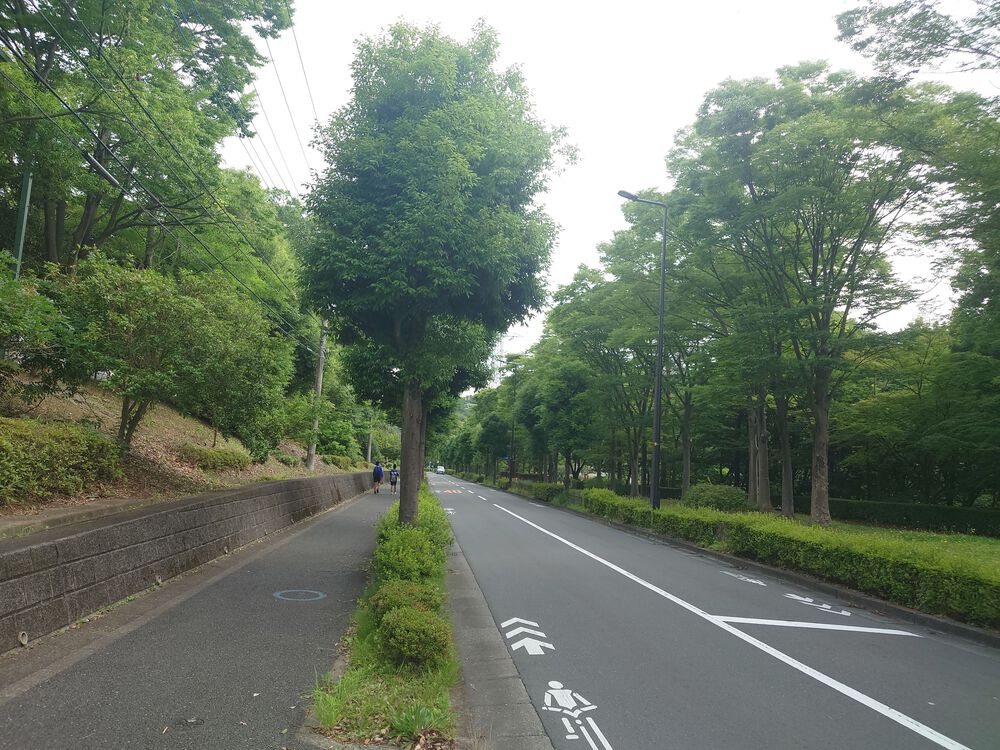 TOKYO 2020 自転車ロードレースコース 稲城～多摩の写真12