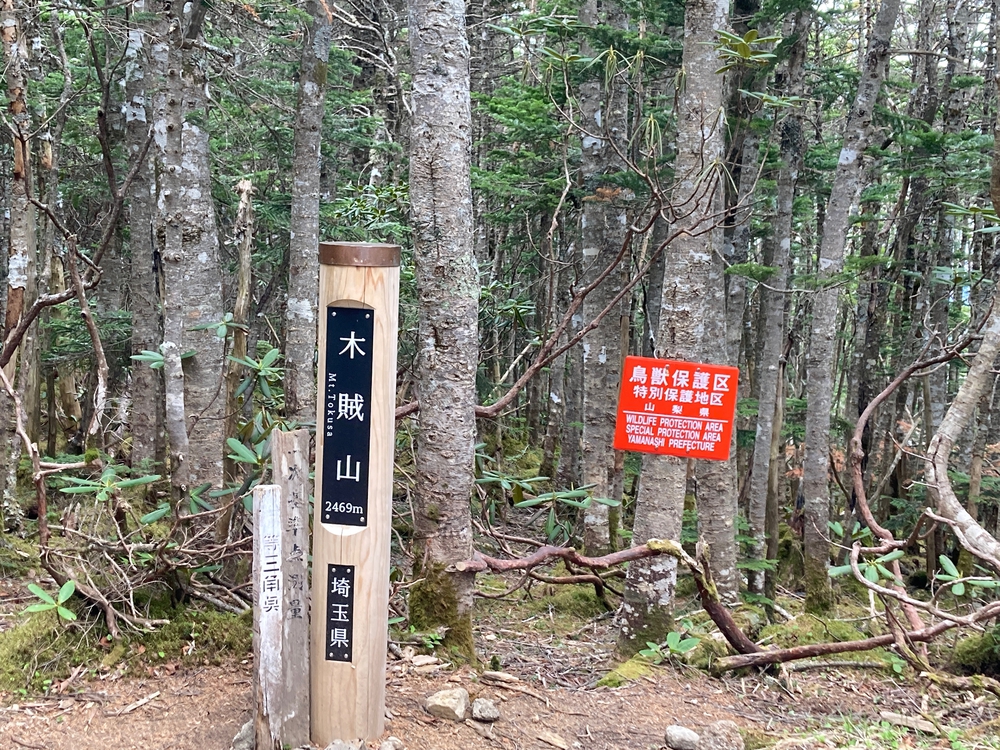 奥秩父主脈縦走路(甲武信ヶ岳〜雁峠)の写真3