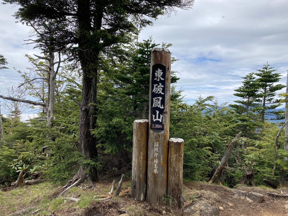 奥秩父主脈縦走路(甲武信ヶ岳〜雁峠)の写真6