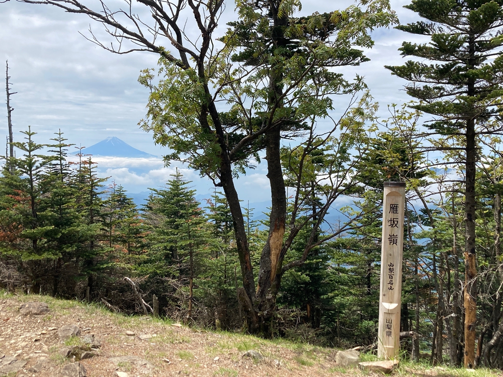 奥秩父主脈縦走路(甲武信ヶ岳〜雁峠)の写真7