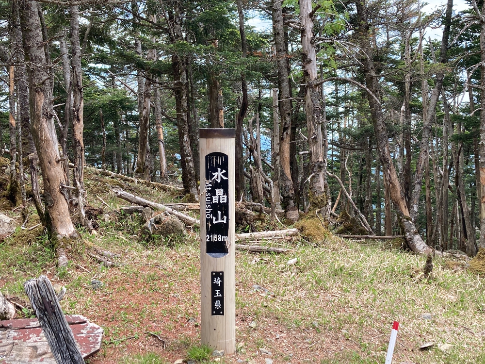 奥秩父主脈縦走路(甲武信ヶ岳〜雁峠)の写真10
