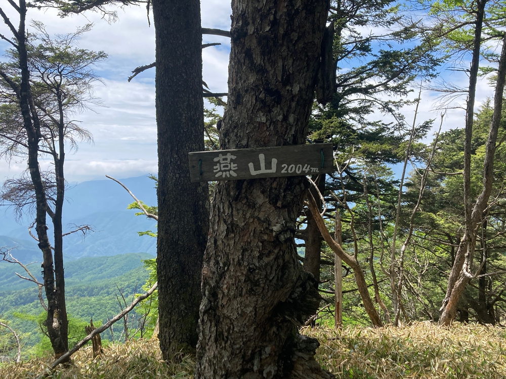 奥秩父主脈縦走路(甲武信ヶ岳〜雁峠)の写真12