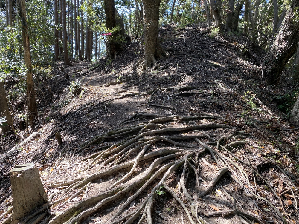 南房総花嫁街道トレイルの写真5