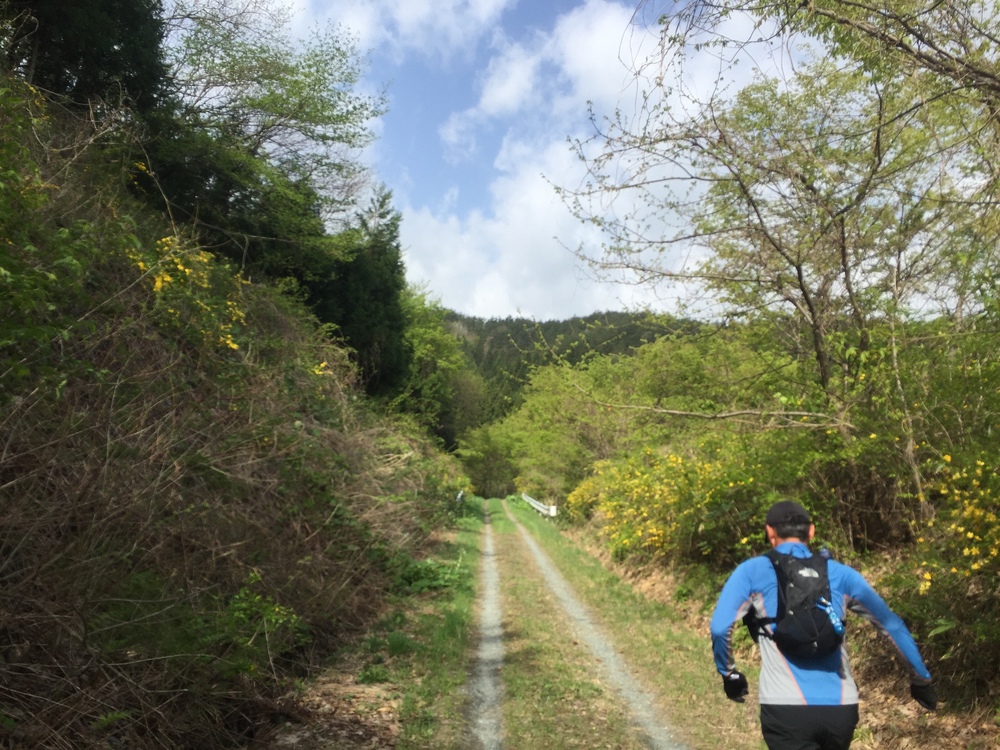 名久井岳トレイルフェスタ試走の写真3