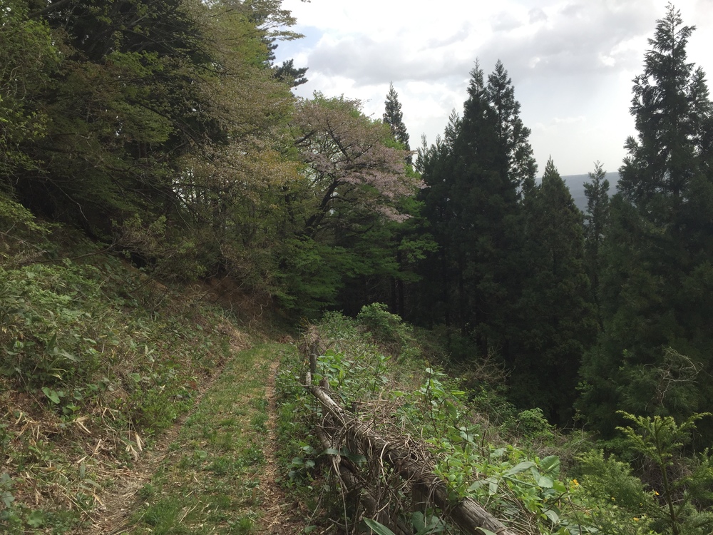 名久井岳トレイルフェスタ試走の写真4