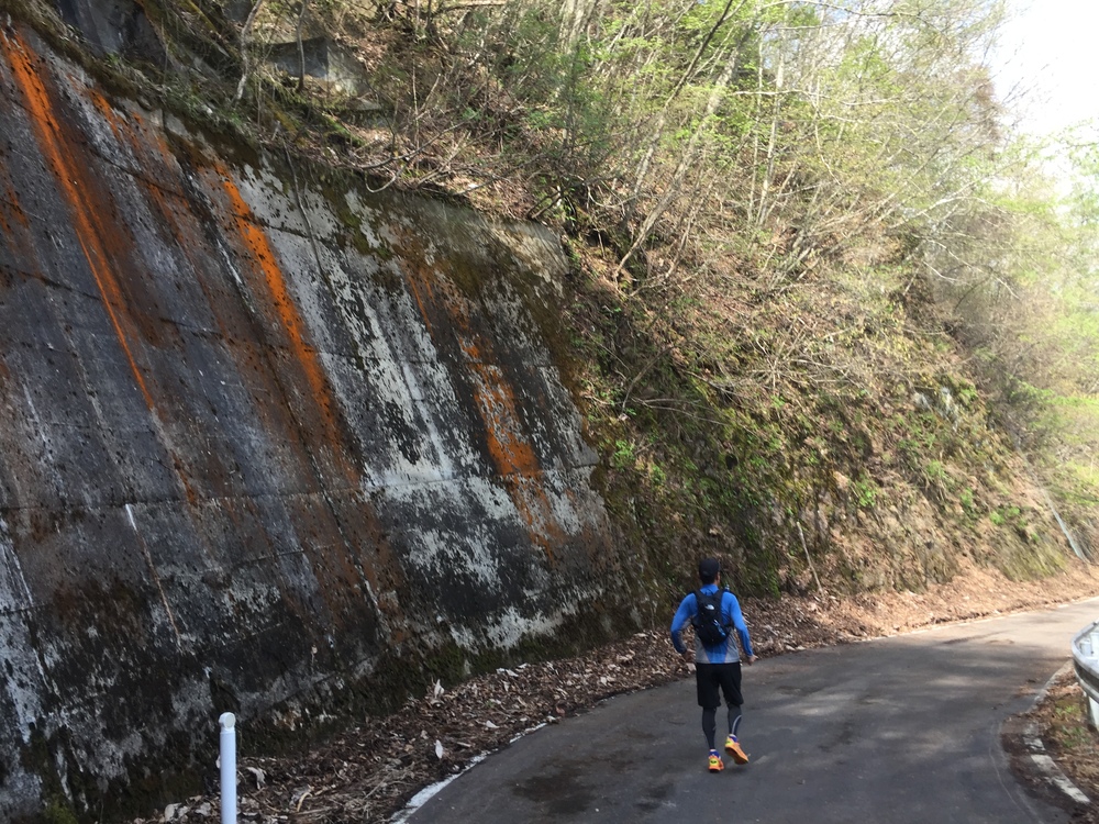 名久井岳トレイルフェスタ試走の写真5