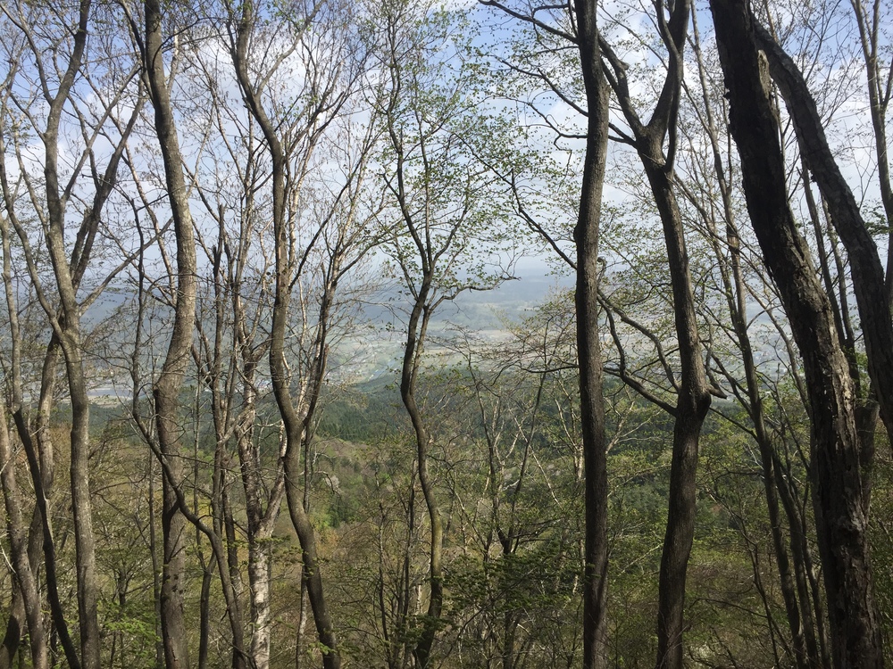 名久井岳トレイルフェスタ試走の写真7