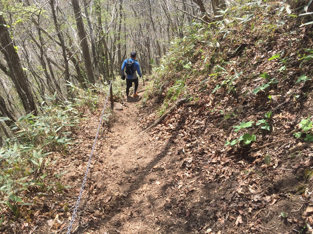 名久井岳トレイルフェスタ試走の写真11