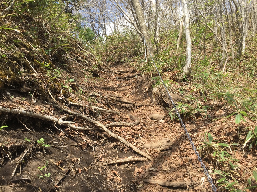 名久井岳トレイルフェスタ試走の写真12