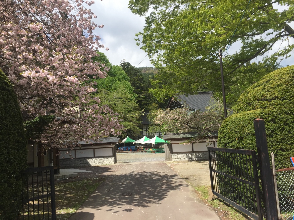 名久井岳トレイルフェスタ試走の写真15