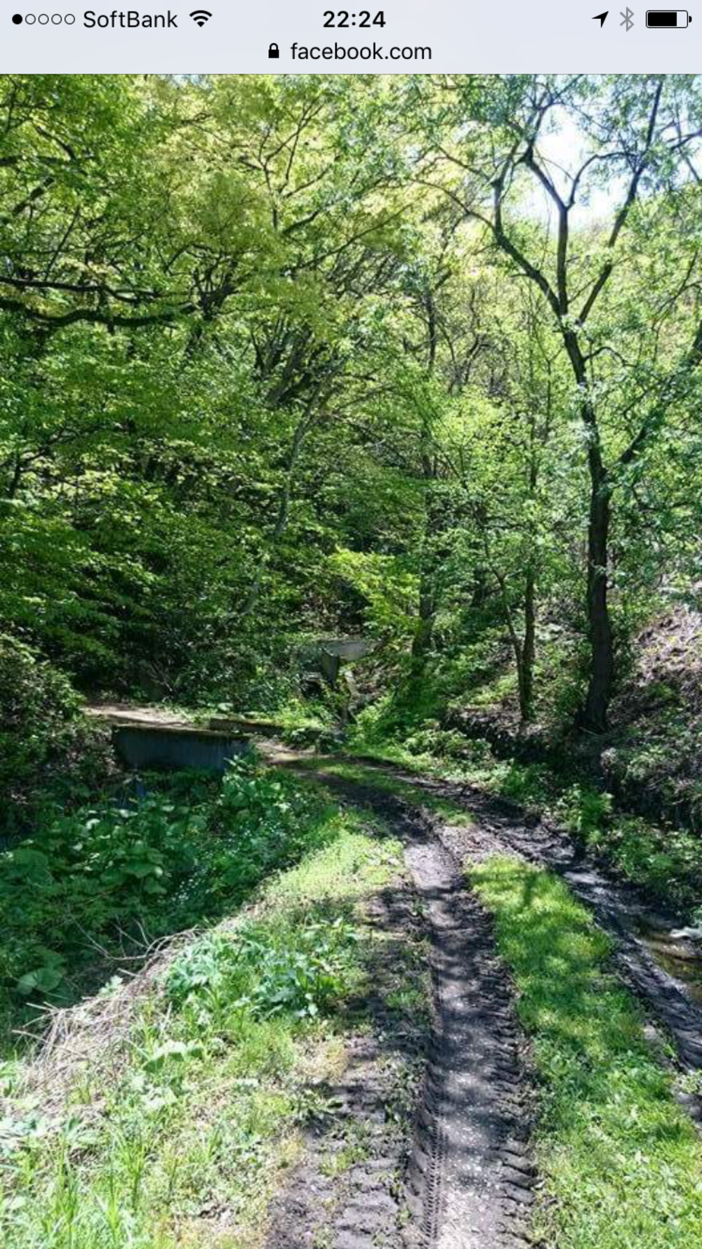 名久井岳トレイルフェスタ試走の写真16