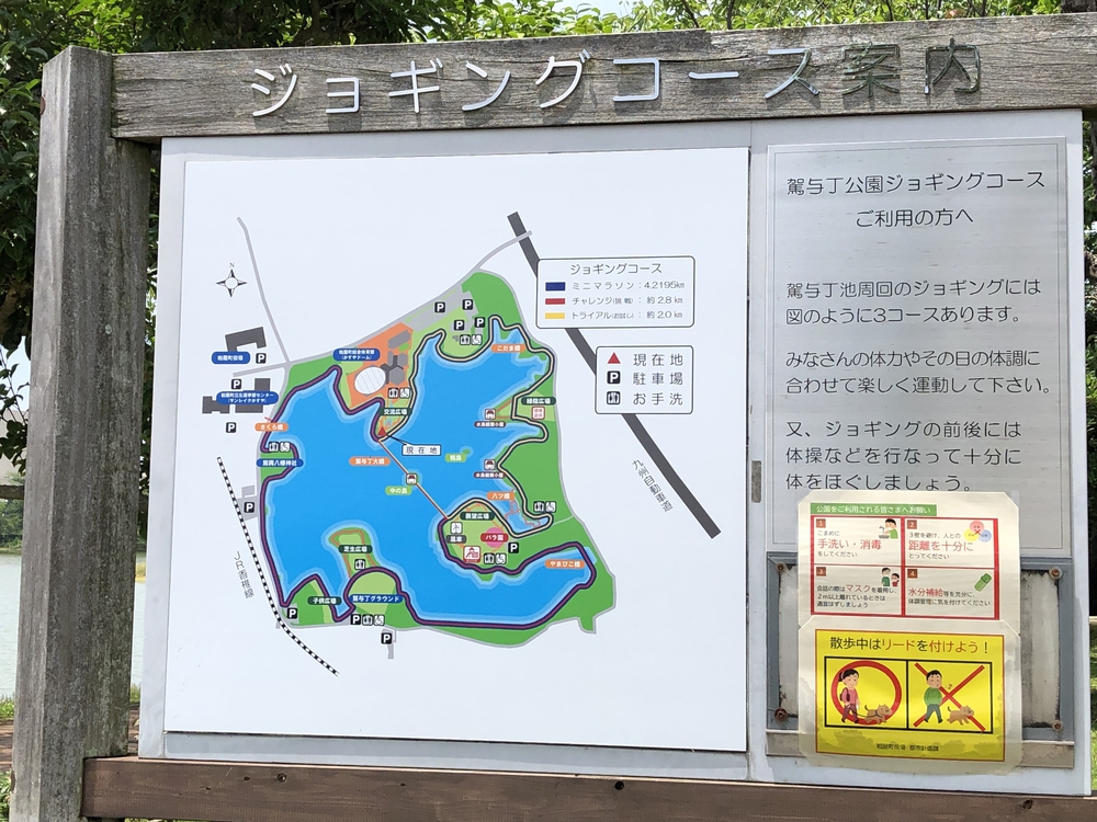 歩きやすい駕与丁公園の写真4