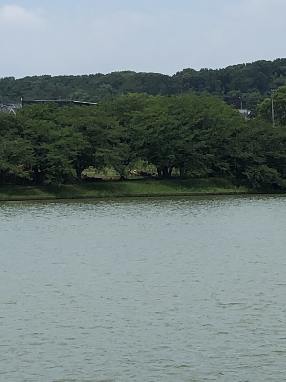 歩きやすい駕与丁公園の写真7