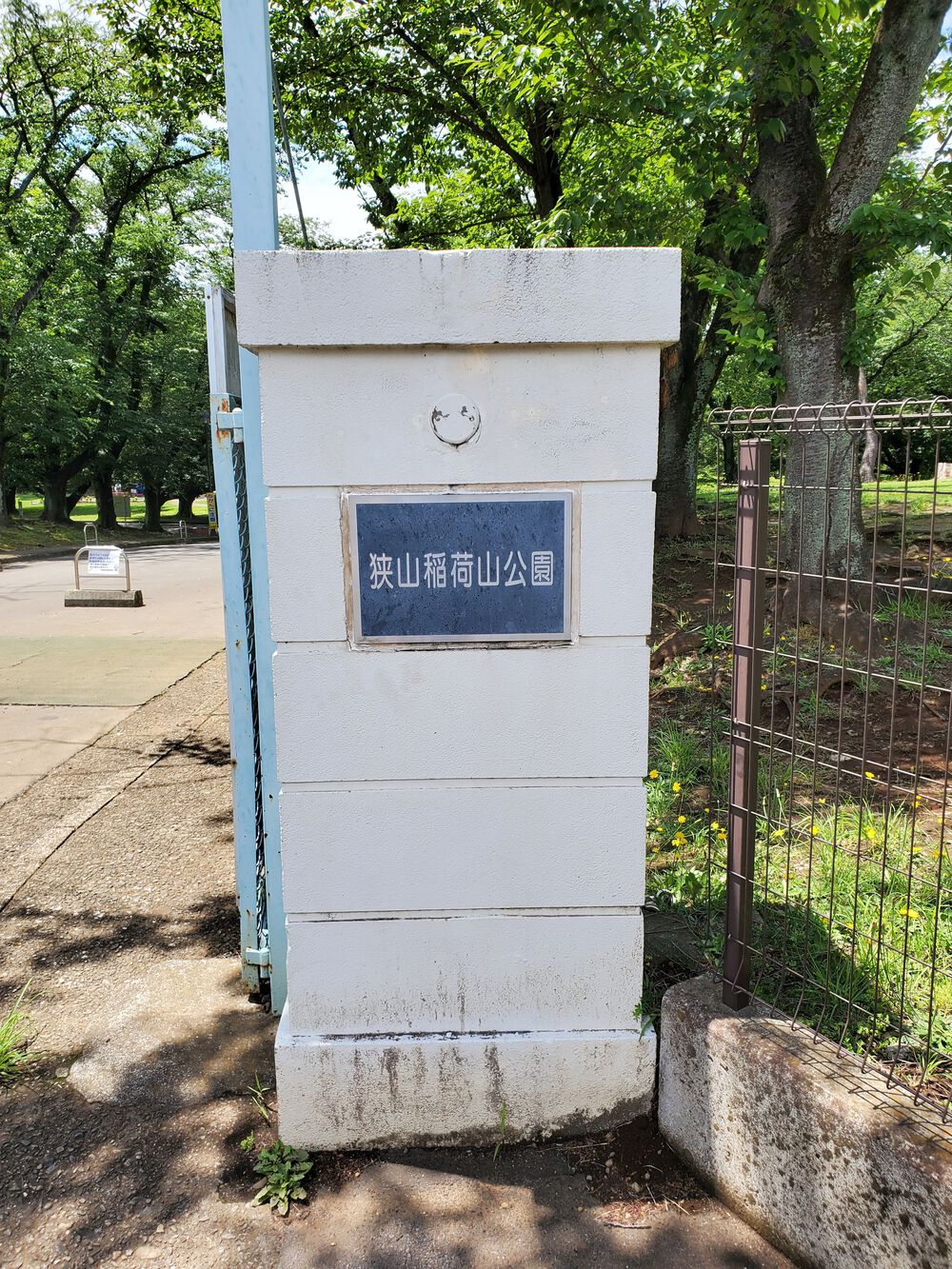 狭山市RUN🏃‍♂️🏃‍♀️💨の写真5