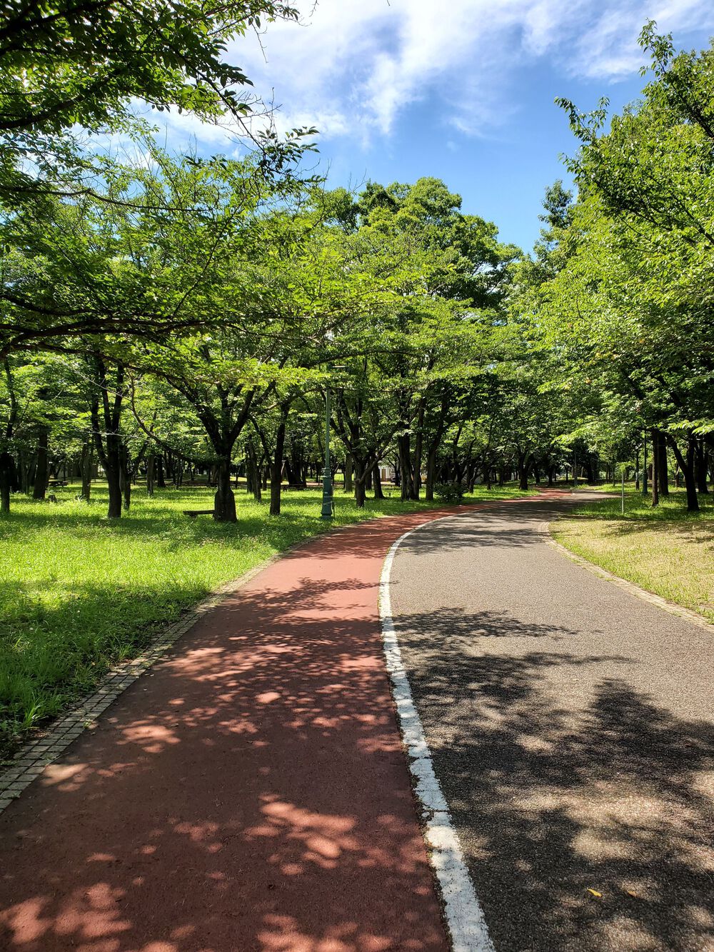 狭山市RUN🏃‍♂️🏃‍♀️💨の写真9