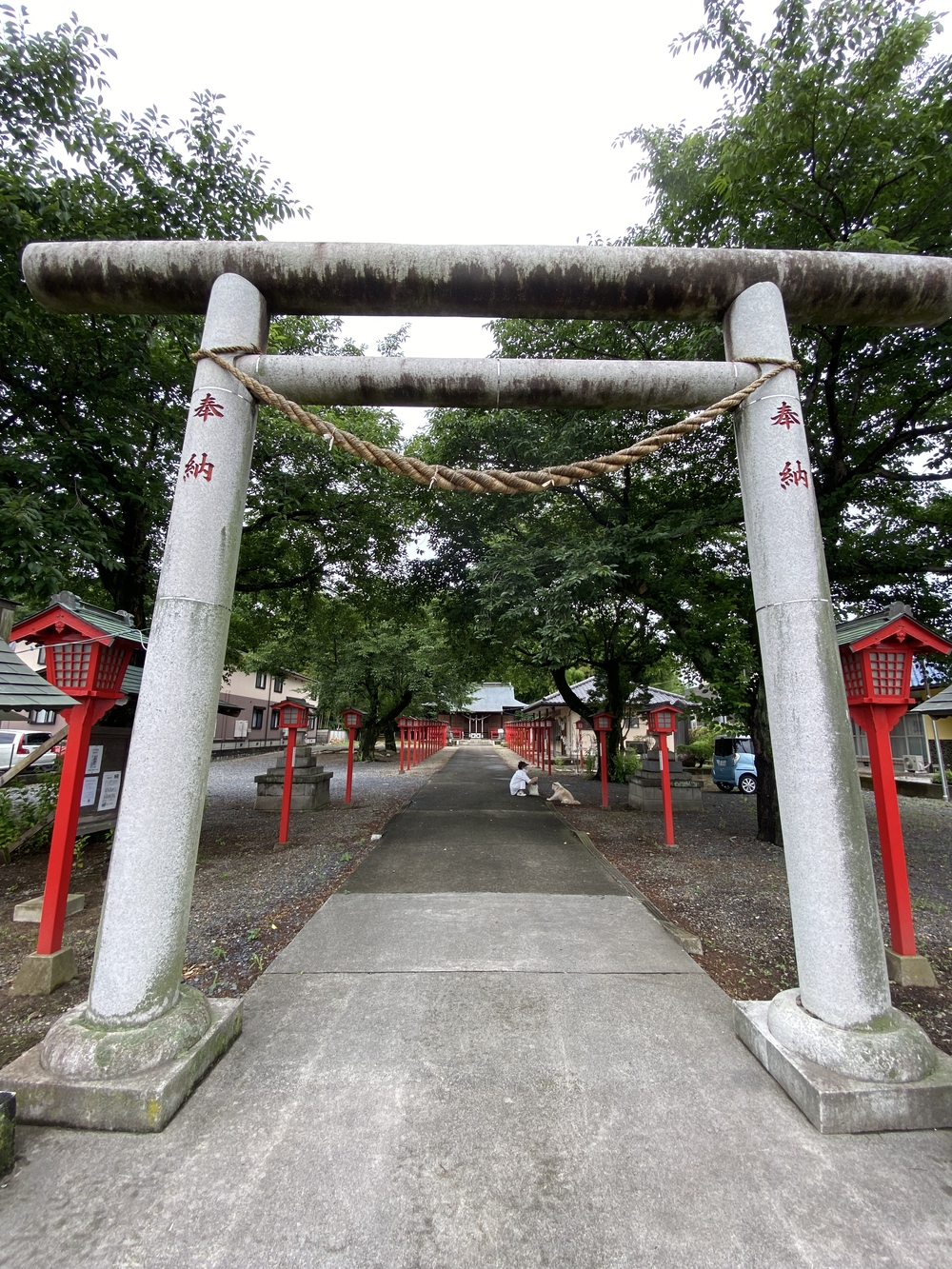 日光道中（街道）旅ラン　第五日目（小金井宿〜石橋宿〜雀宮宿〜宇都宮宿）の写真6