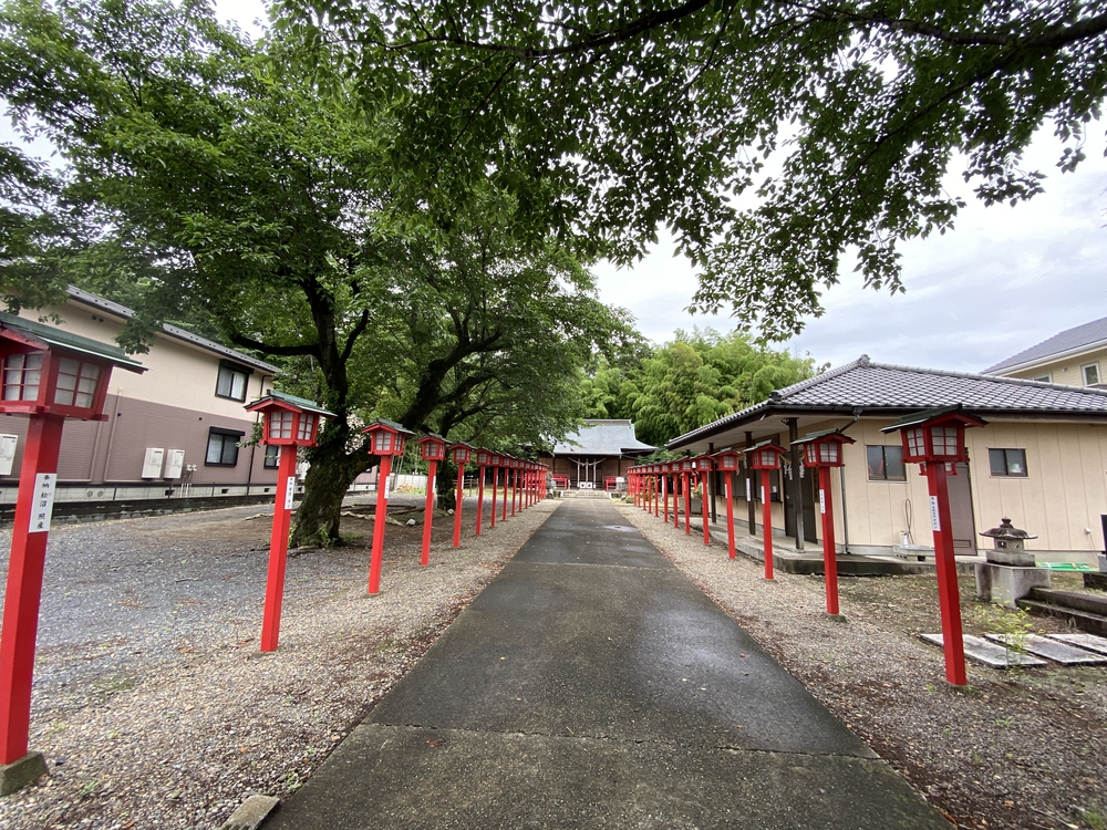 日光道中（街道）旅ラン　第五日目（小金井宿〜石橋宿〜雀宮宿〜宇都宮宿）の写真7