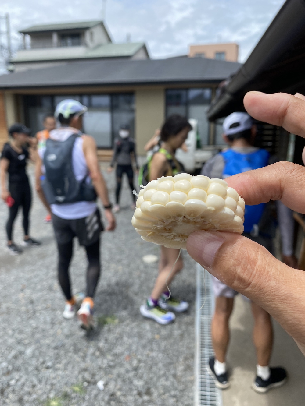 日光道中（街道）旅ラン　第五日目（小金井宿〜石橋宿〜雀宮宿〜宇都宮宿）の写真9