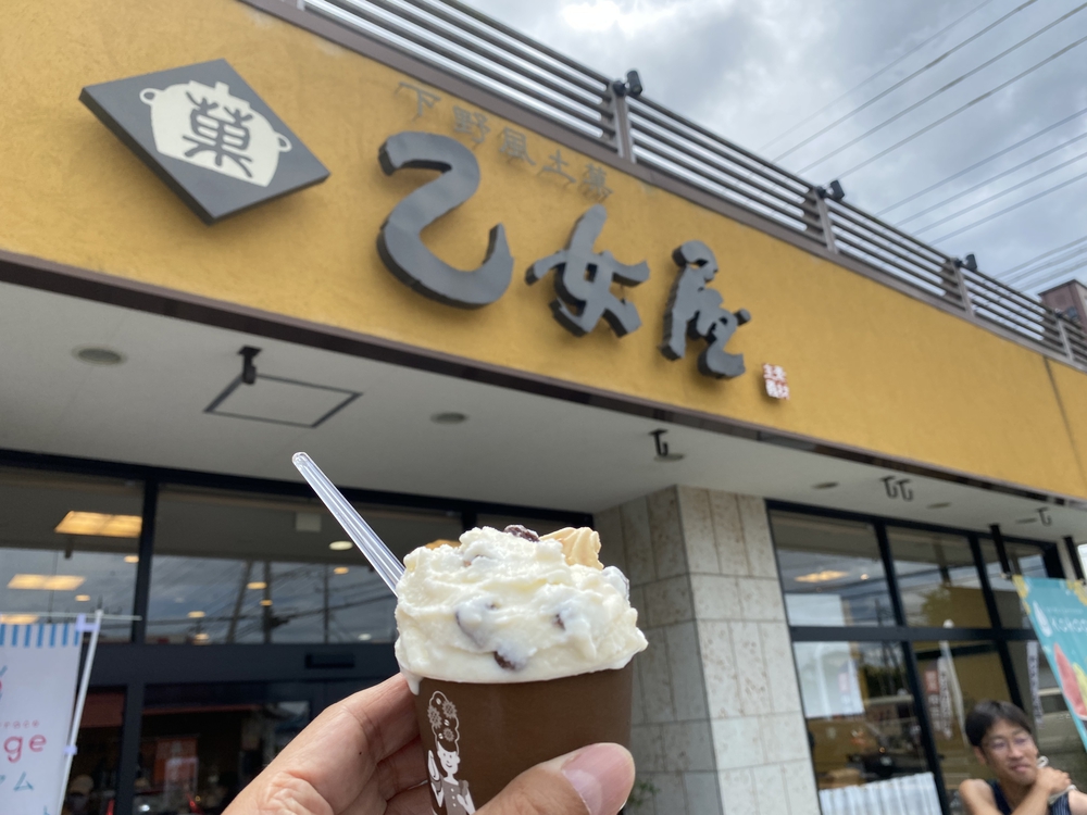 日光道中（街道）旅ラン　第五日目（小金井宿〜石橋宿〜雀宮宿〜宇都宮宿）の写真10