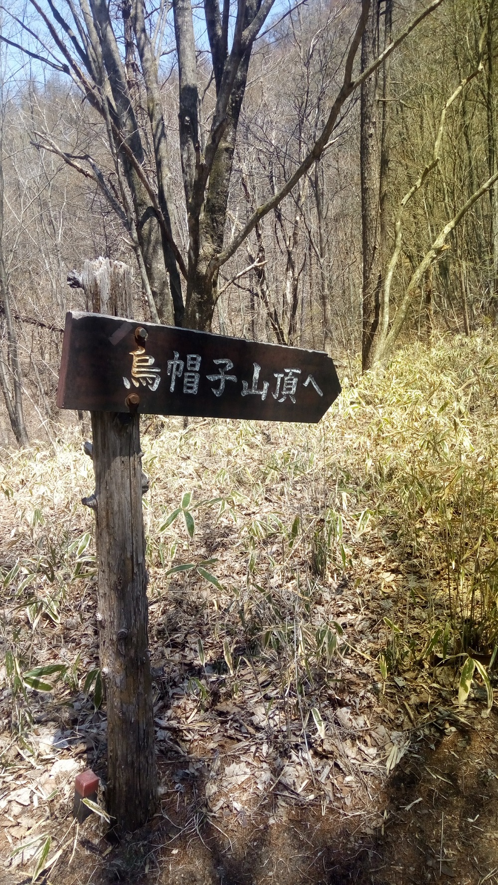 榛名湖を一望できる絶景烏帽子岳トレランコースの写真5