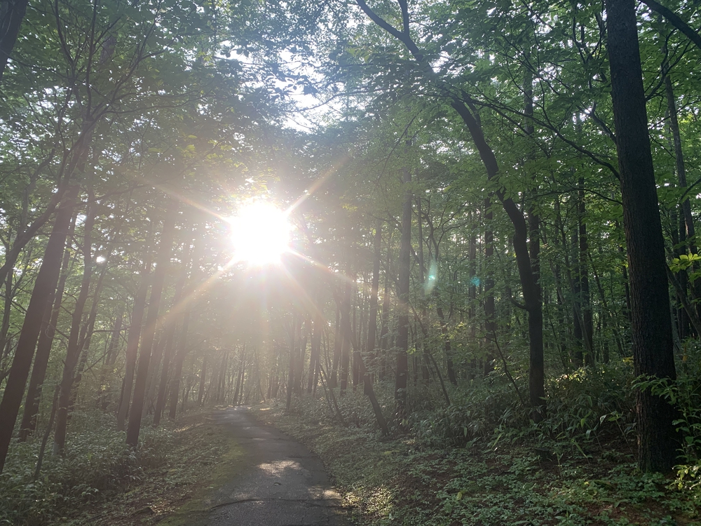 湯畑スタート 草津温泉周遊コースの写真5