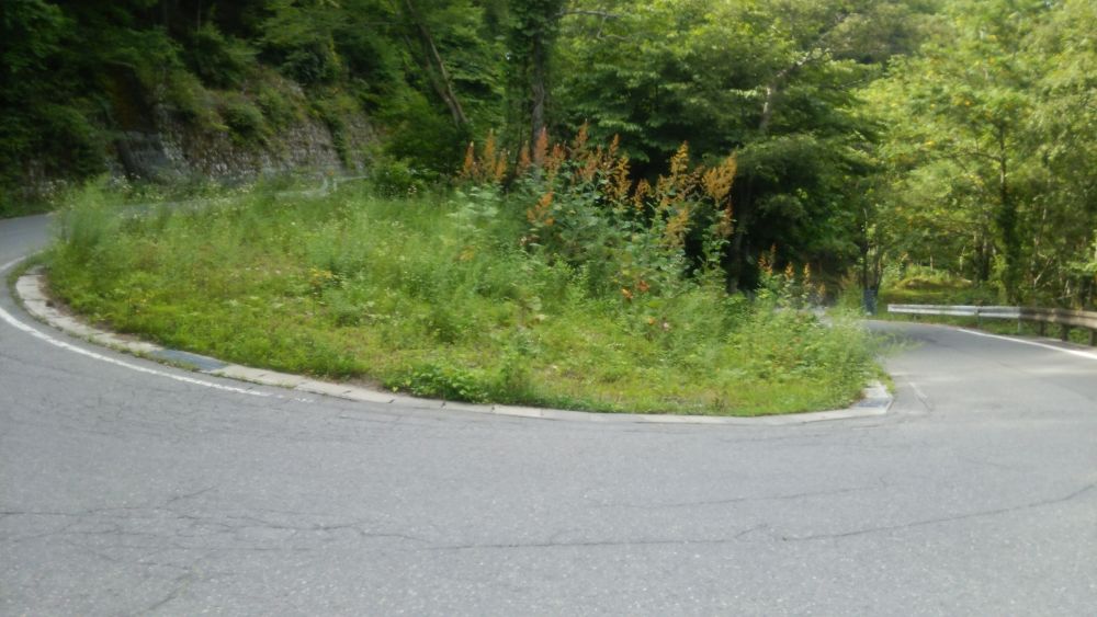 日本随一のパワースポット分杭峠【14km】の写真3