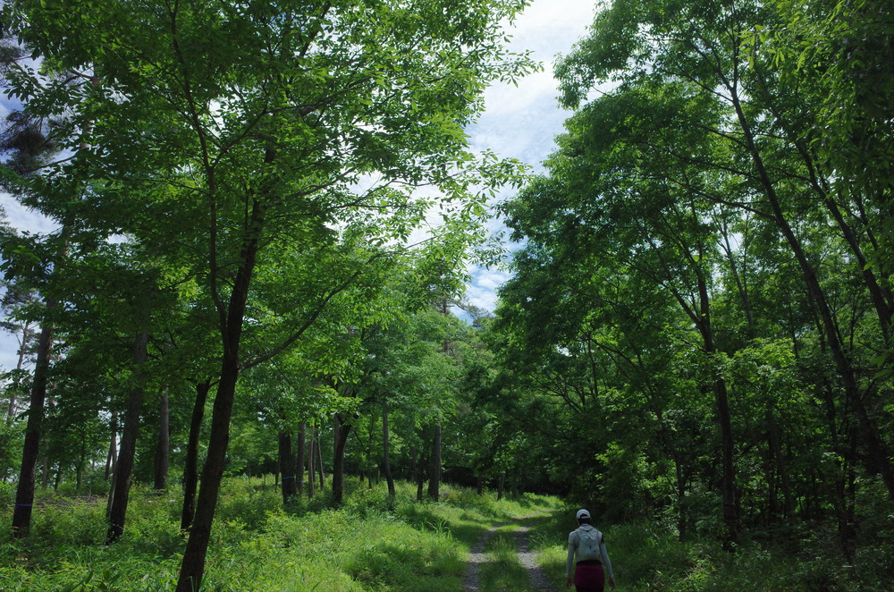 塩嶺王城ロングトレイルを塩尻峠から小野峠ピストントレラン！の写真4