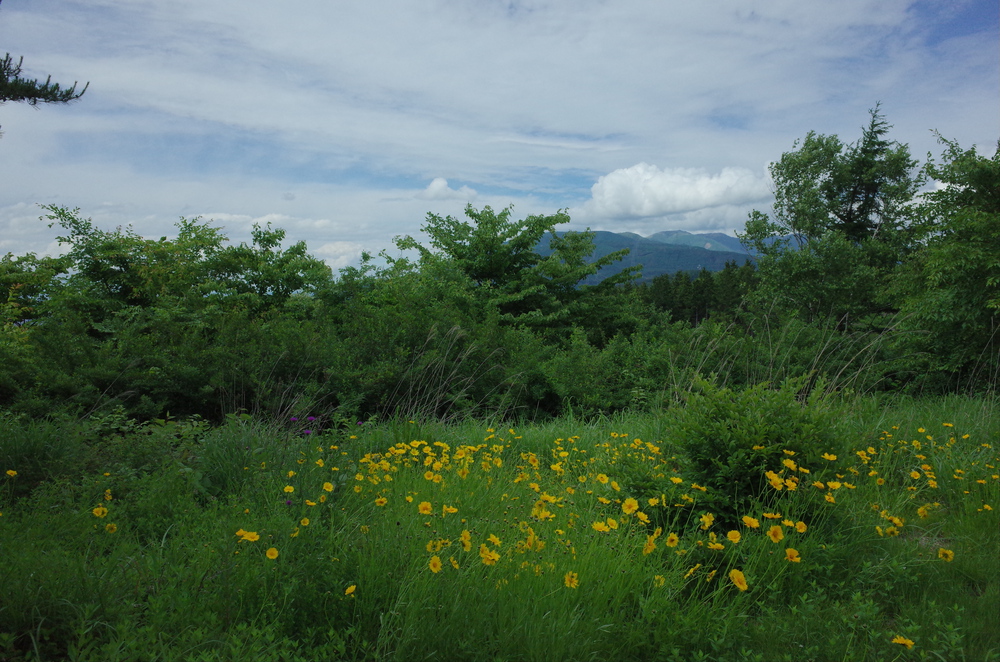 塩嶺王城ロングトレイルを塩尻峠から小野峠ピストントレラン！の写真10
