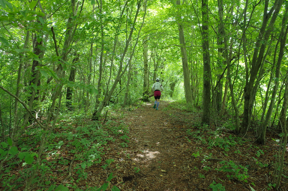 塩嶺王城ロングトレイルを塩尻峠から小野峠ピストントレラン！の写真11