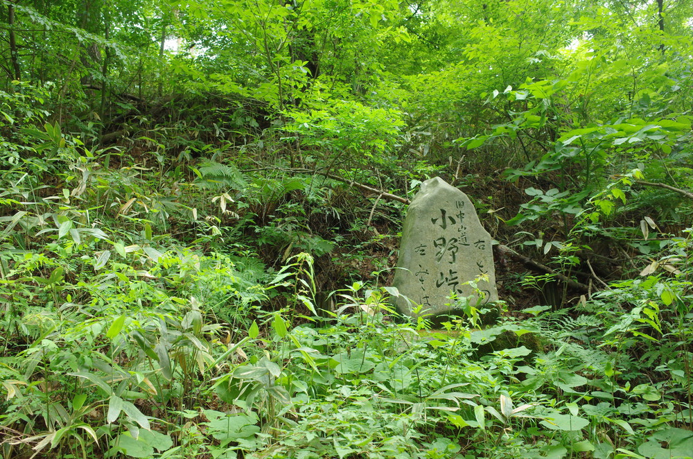 塩嶺王城ロングトレイルを塩尻峠から小野峠ピストントレラン！の写真14