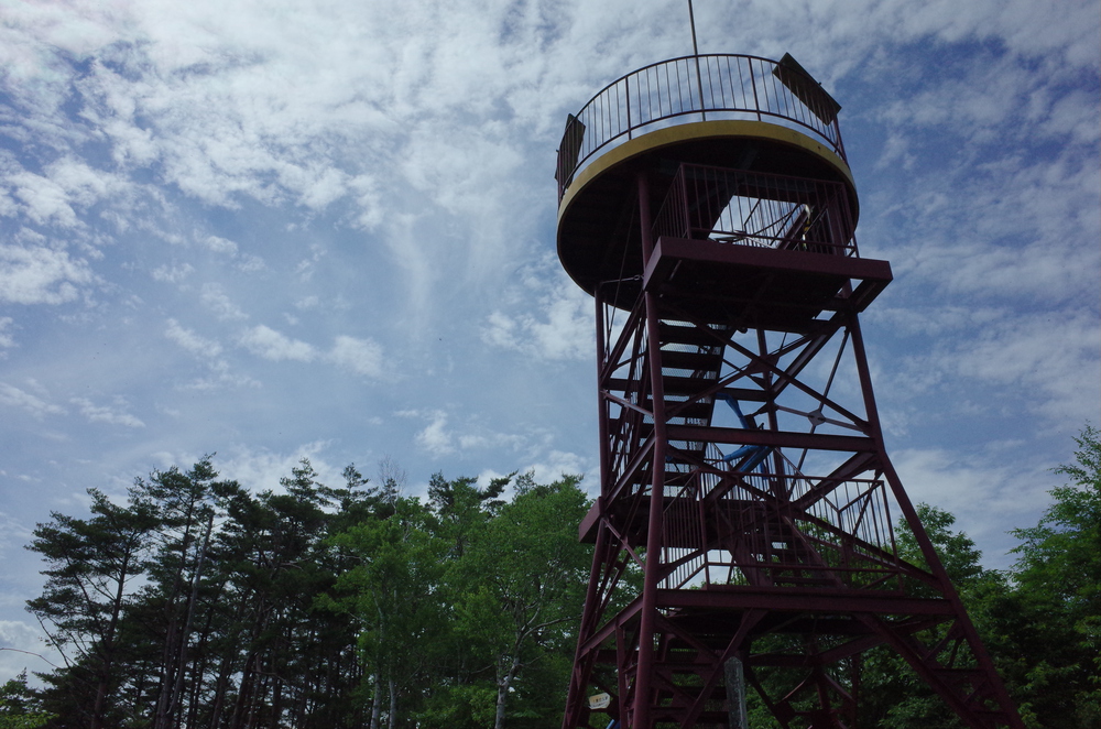 塩嶺王城ロングトレイルを塩尻峠から小野峠ピストントレラン！の写真15