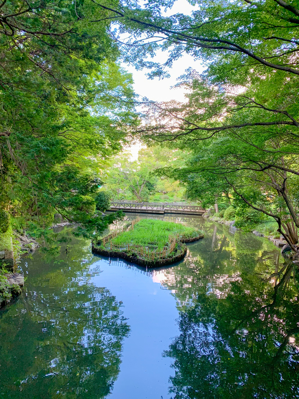 【Tokyo 2020】東京の名所を巡るTHE Tokyoコースの写真4