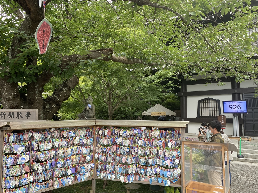 鎌倉から逗子、そして江ノ島へ。湘南の風を感じる海沿いランの写真7