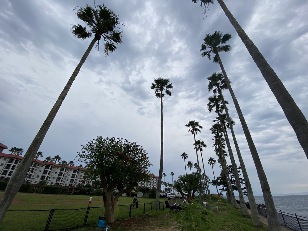 鎌倉から逗子、そして江ノ島へ。湘南の風を感じる海沿いランの写真12