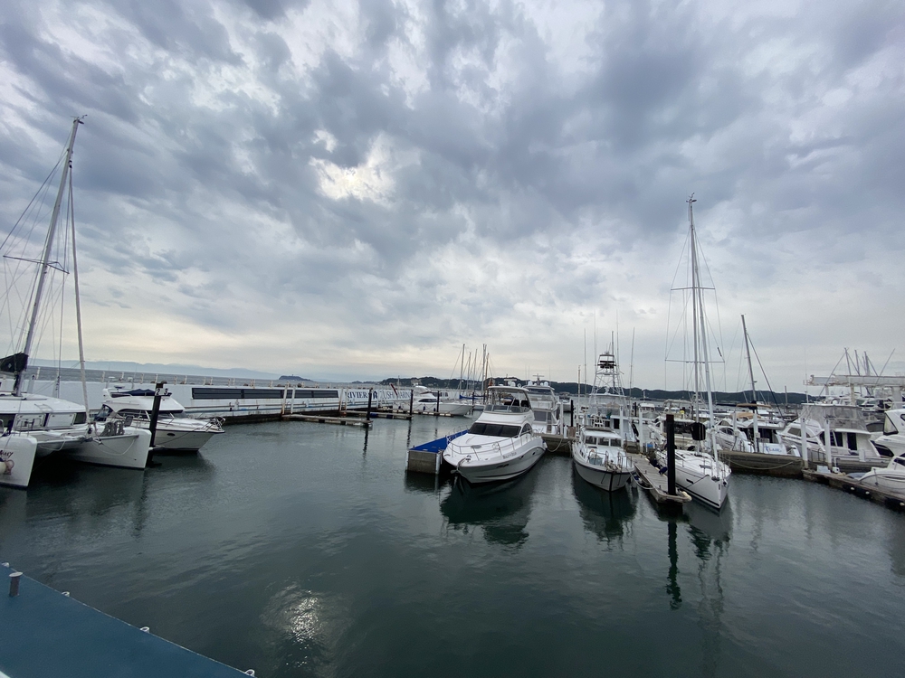 鎌倉から逗子、そして江ノ島へ。湘南の風を感じる海沿いランの写真13