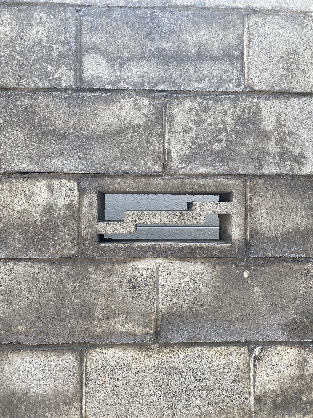 上田市蕎麦ラン後半！お蕎麦は終わった後でwの写真4