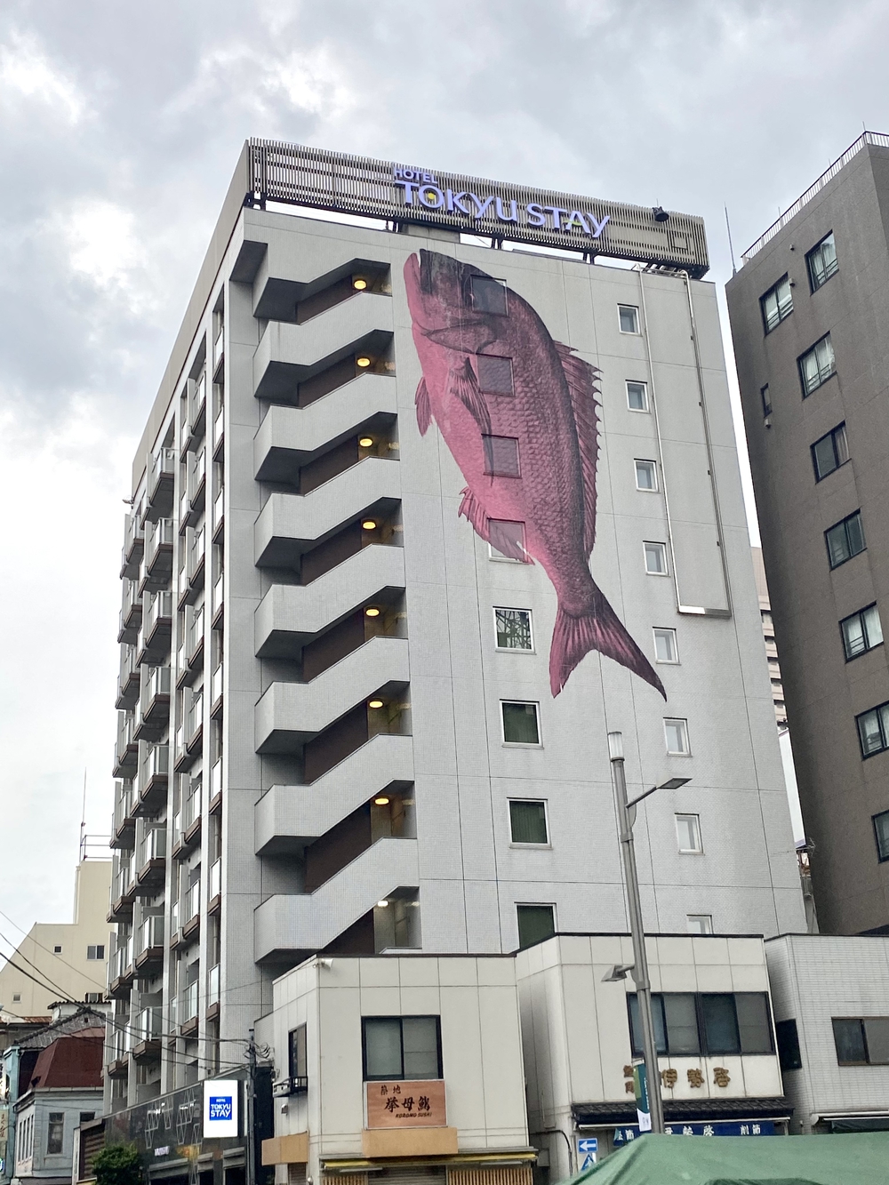 大都会から川沿いへ〜夕涼み✨の写真3