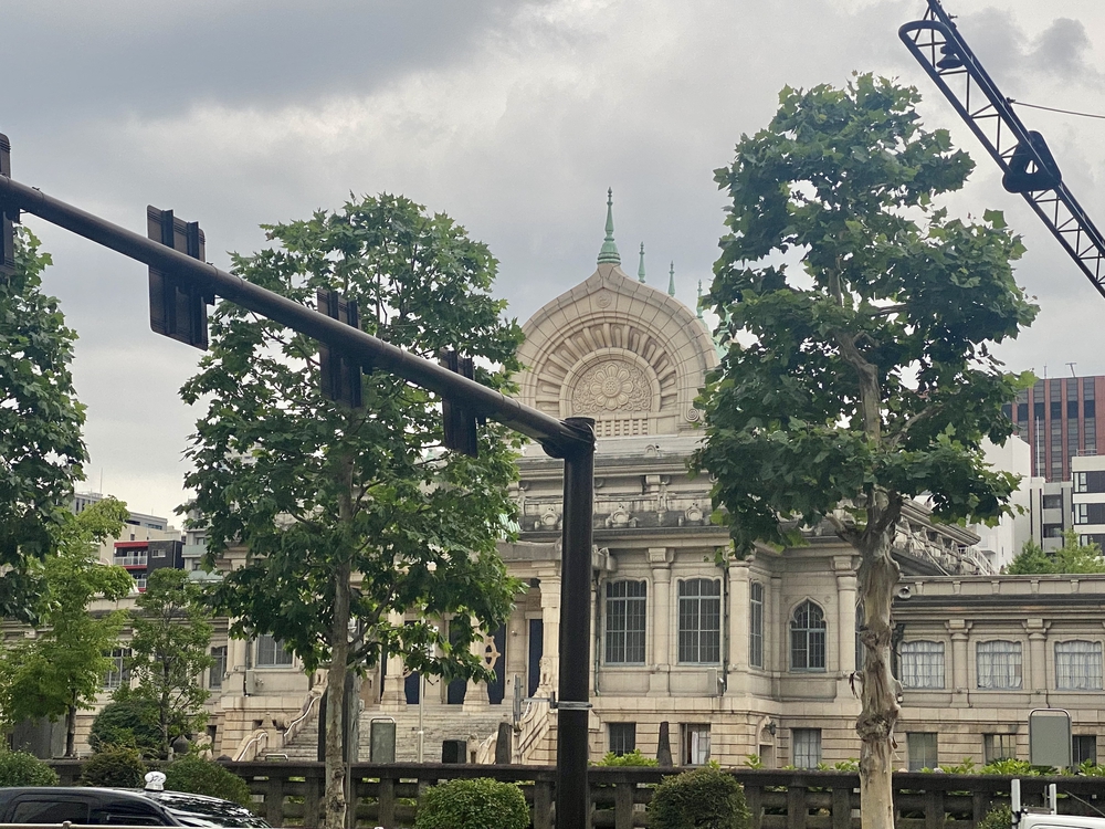 大都会から川沿いへ〜夕涼み✨の写真4