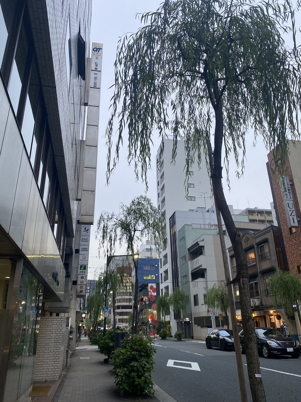 大都会から川沿いへ〜夕涼み✨の写真6