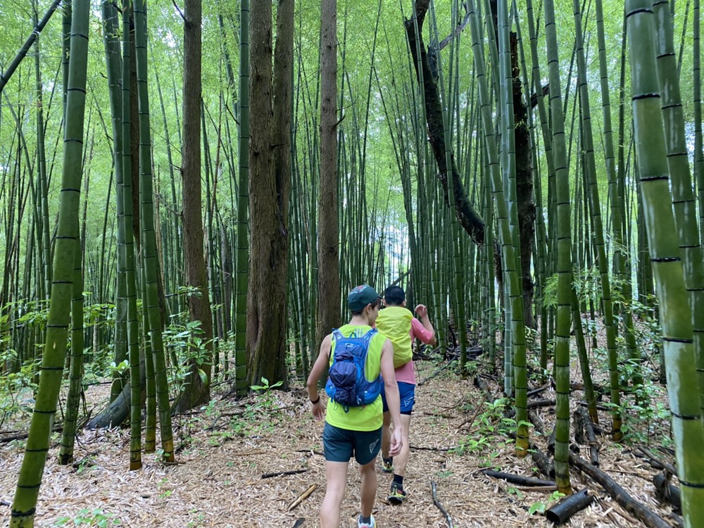 TAKAO TO HAKONE(TTH)の写真3