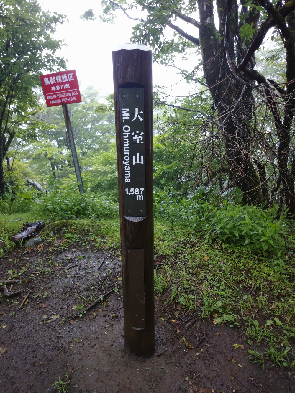 TAKAO TO HAKONE(TTH)の写真5