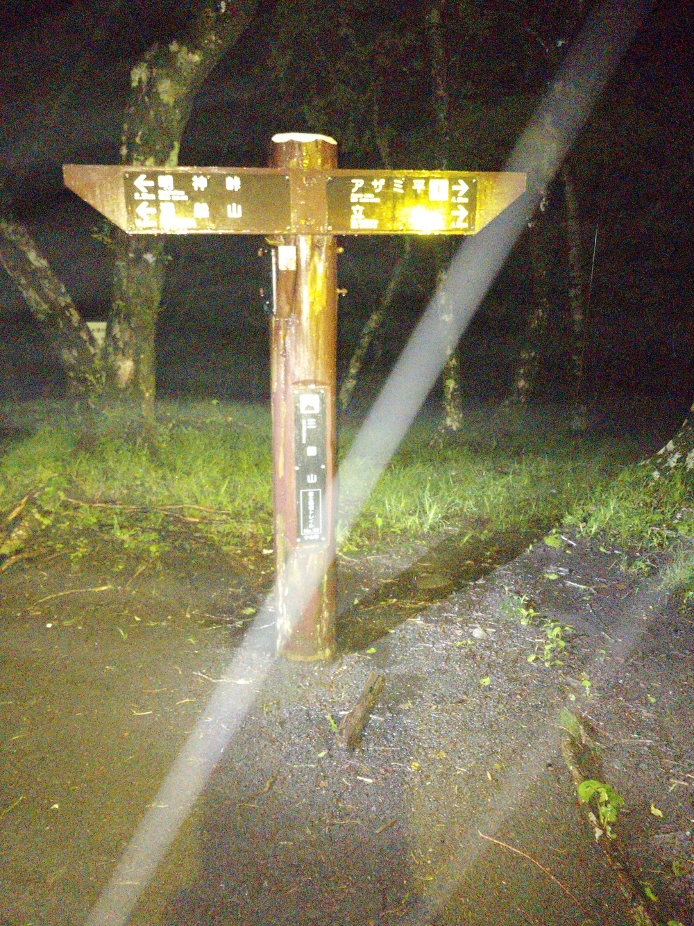 TAKAO TO HAKONE(TTH)の写真6