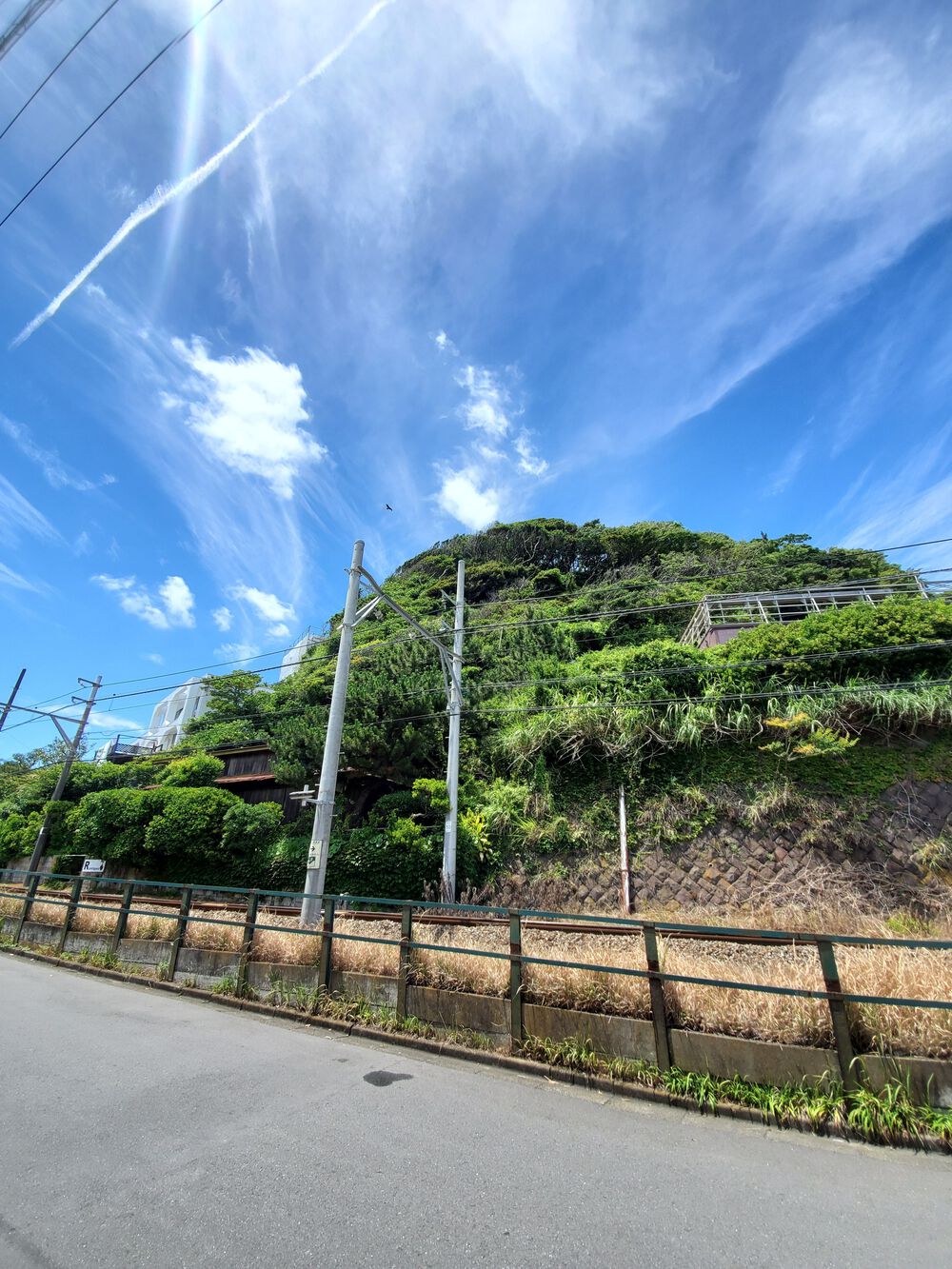 江ノ電沿線RUN🏃‍♂️🏃‍♀️💨の写真5