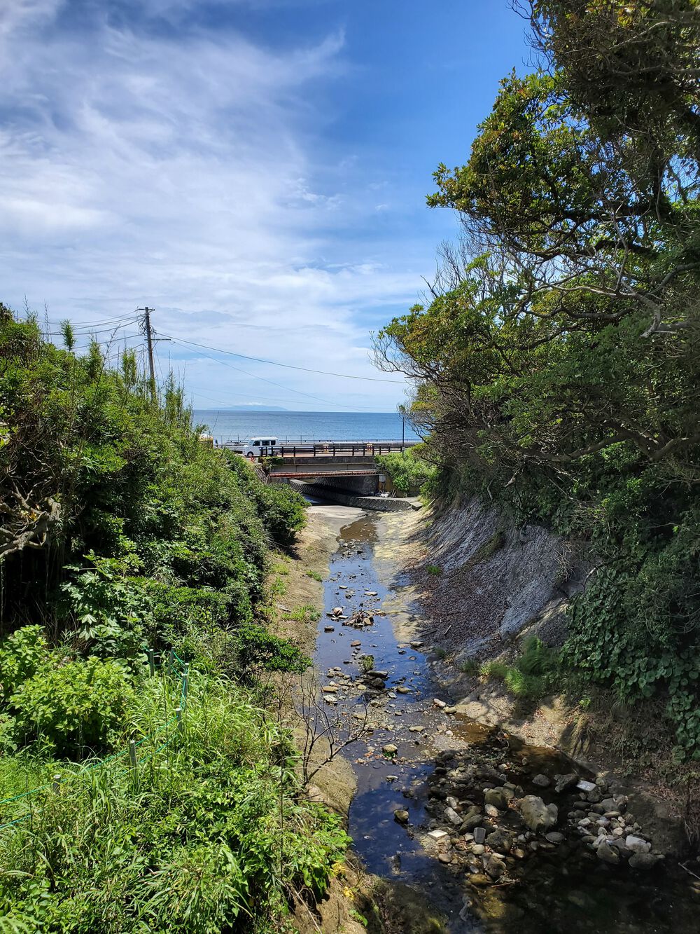 江ノ電沿線RUN🏃‍♂️🏃‍♀️💨の写真6